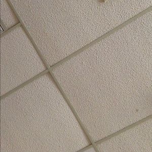 Meet your Posher, Miles